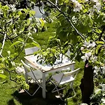 Przechowalnia Marzen- Adults Only Mikołajki