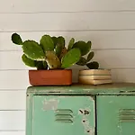 Przechowalnia Marzen- Adults Only Habitación en casa particular *