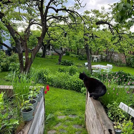 Przechowalnia Marzen- Adults Only Homestay