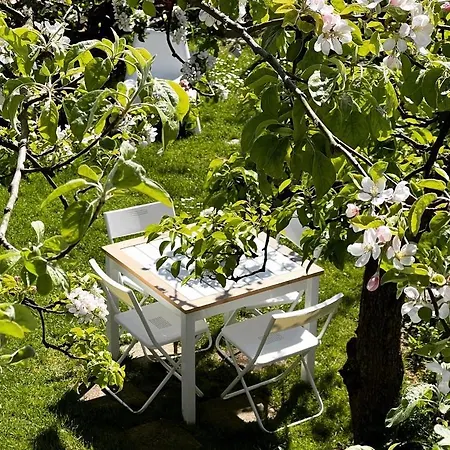 Przechowalnia Marzen- Adults Only Mikołajki