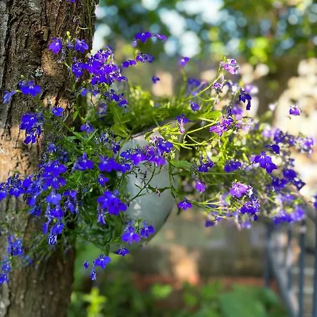 Przechowalnia Marzen- Adults Only Homestay