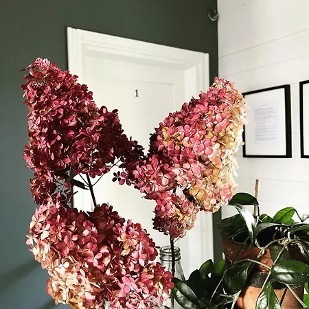 Przechowalnia Marzen- Adults Only