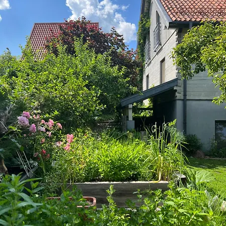 Przechowalnia Marzen- Adults Only * Mikołajki