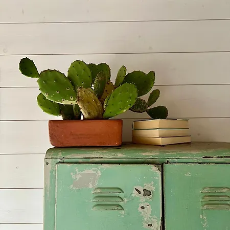 Przechowalnia Marzen- Adults Only منزل للإقامة *