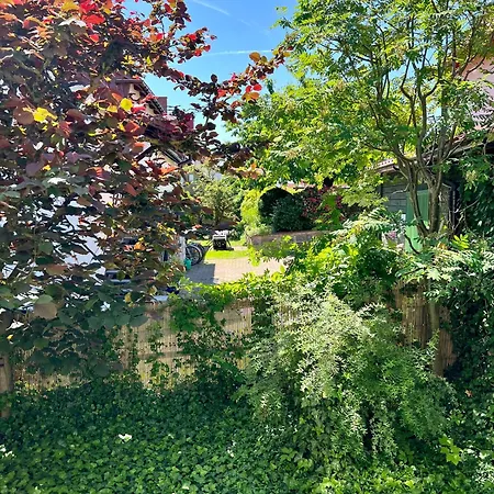 Przechowalnia Marzen- Adults Only Mikołajki