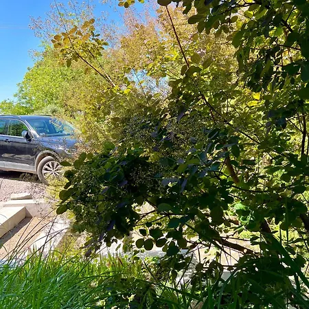 Przechowalnia Marzen- Adults Only * Mikołajki