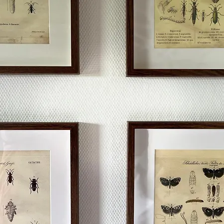 Przechowalnia Marzen- Adults Only